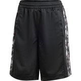 adidas Originals Pride Adibreak Short - Heren - Zwart