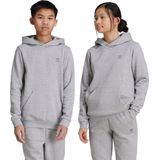adidas Originals Hoodie - Kinderen - Grijs - Katoen
