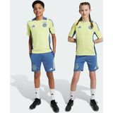 adidas Performance Ajax Amsterdam Tiro 24 Competition Training Short Kids Kinderen Blauw