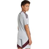 Adidas Ajax Amsterdam Derde Shirt Junior8