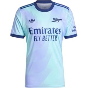 Arsenal Tricot '24/25 Third' - Gerecycled Materiaal - Kwartmouw