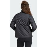 Jack - Black - Polyester - Regular Fit