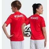 adidas - Benfica Lisbonne Thuisshirt - Rood - Sportshirt
