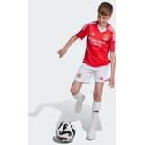 adidas - Benfica Lisbonne Thuisshirt - Rood - Sportshirt