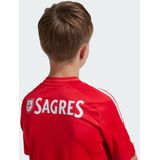 adidas - Benfica Lisbonne Thuisshirt - Rood - Sportshirt