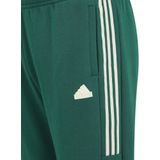 Adidas House Of Tiro Fleece Joggers Groen / Regular Man