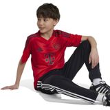 Adidas Voetbalshirt Kinderen Rood Bayern Munich 2024/25