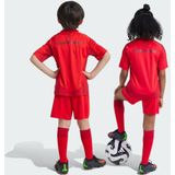 adidas FC Bayern München 24-25 Heim Teamtrikot Kinder