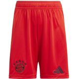FC Bayern Sportbroek 24/25 - Kort - Logoprint