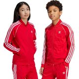 adidas - Adicolor SST - Sportbroek - Zwart - 100% Gerecycled Polyester