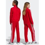 Broek - Adicolor Firebird - Gevoerd - Gerecycled Materiaal - Regular Fit