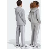 adidas Originals Trefoil Broek Kids - Kinderen - Grijs