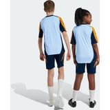 2024-2025 Real Madrid Training Shorts (Navy) - Kids
