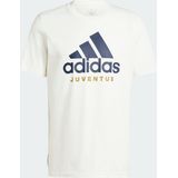 adidas Performance Juventus Seasonal Graphic T-shirt - Heren - Wit