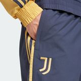 adidas Performance Juventus Seasonal Trainingsbroek - Heren - Blauw