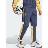 adidas Performance Juventus Seasonal Trainingsbroek - Heren - Blauw