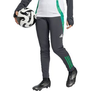adidas Performance Celtic FC Tiro 24 Training Broek Kids - Kinderen - Grijs
