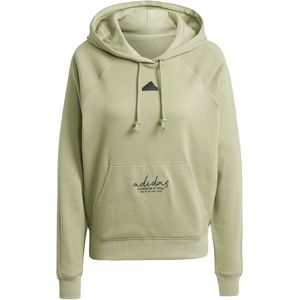 Adidas Bluv Q3 Casaul Sweater Dames Groen