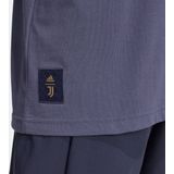 adidas Performance Juventus Seasonal Heavy Cotton T-shirt - Heren - Blauw
