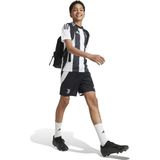 2024-2025 Juventus Home Shirt (Kids)