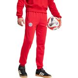 adidas - DNA-broek - Sportbroek - Rood - Katoen