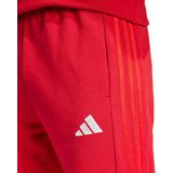 adidas - DNA-broek - Sportbroek - Rood - Katoen