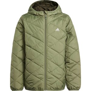 adidas Sportswear Light Padded Jack - Kinderen - Groen- 140