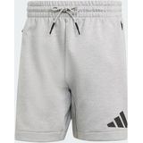 Adidas Z.n.e. Korte Broeken - Grijs - Poly Mesh