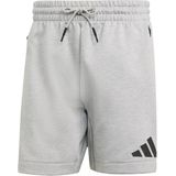 Adidas Z.n.e. Korte Broeken - Grijs - Poly Mesh