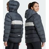 Outdoor - Gewatteerde Korte Jas - Color-Blocking - Gerecycled Materiaal - Met Capuchon