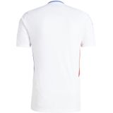 Olympique Lyonnais - Home Shirt - Rood - Blauw - Sportshirt