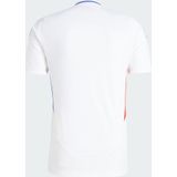 Olympique Lyonnais - Home Shirt - Rood - Blauw - Sportshirt