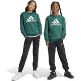 adidas - Essentials Big Logo Fleece Joggingpak - Donkergroen - Zwart - Wit
