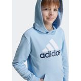 Adidas Essentials Two Colored Big Logo Cotton Hoodie Blauw Jongen