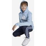 Adidas Essentials Two Colored Big Logo Cotton Hoodie Blauw Jongen