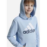 Adidas Essentials Two Colored Big Logo Cotton Hoodie Blauw Jongen