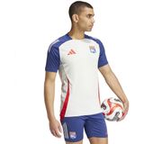 adidas - Olympique Lyonnais - T-shirt - Blauw - 100% Gerecycled Polyester