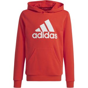 Sportsweatshirt 'Essentials'