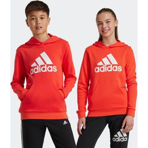 Adidas - Big Logo Essentials - Hoodie - Jongens