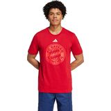 adidas - Bayern Munich DNA 2024/25 - T-shirt