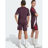 2024-2025 Bayern Munich Training Shorts (Shadow Maroon) - Kids