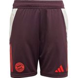 FC Bayern - Sportbroek Tiro 24 - Gerecycled Materiaal - Color-Blocking