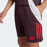 FC Bayern - Sportbroek Tiro 24 - Gerecycled Materiaal - Color-Blocking