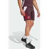 2024-2025 Bayern Munich Training Shorts (Shadow Maroon)