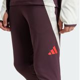 2024-2025 Bayern Munich Training Pants (Shadow Maroon) - Kids