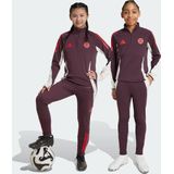 adidas - FC Bayern Munich 24/25 - Trainingsbroek - Junioren - Slim Fit