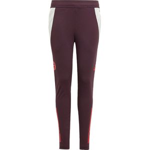 adidas - FC Bayern Munich 24/25 - Trainingsbroek - Junioren - Slim Fit