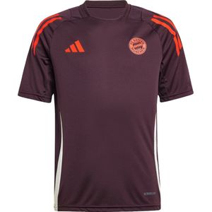 Fc bayern münchen trainingsshirt kind 24/25