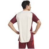 Adidas - FC Bayern München 24/25 - Training T-shirt - Korte Mouwen