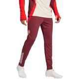 adidas - Trainingsbroek - Rood - Polyester - Bayern Munich 2024/25